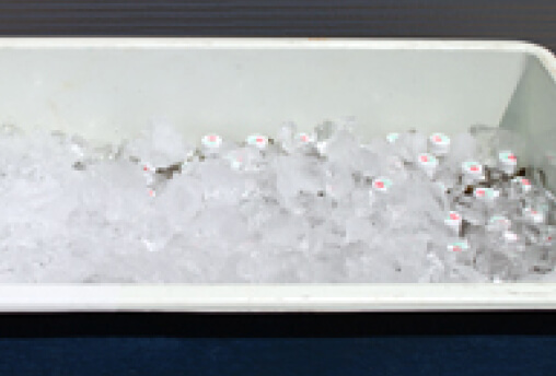 V-Archiveサービス